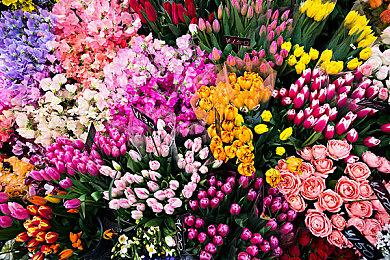 《最终幻想16》新实机公开 6月22日PS5发售