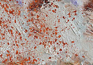 LGD入选！沙特电竞世界杯基金会俱乐部支持计划公布